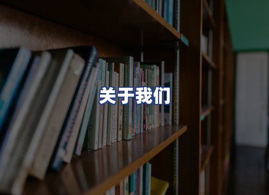 专业团队